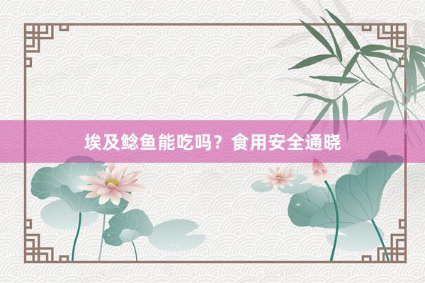 埃及鲶鱼能吃吗？食用安全通晓